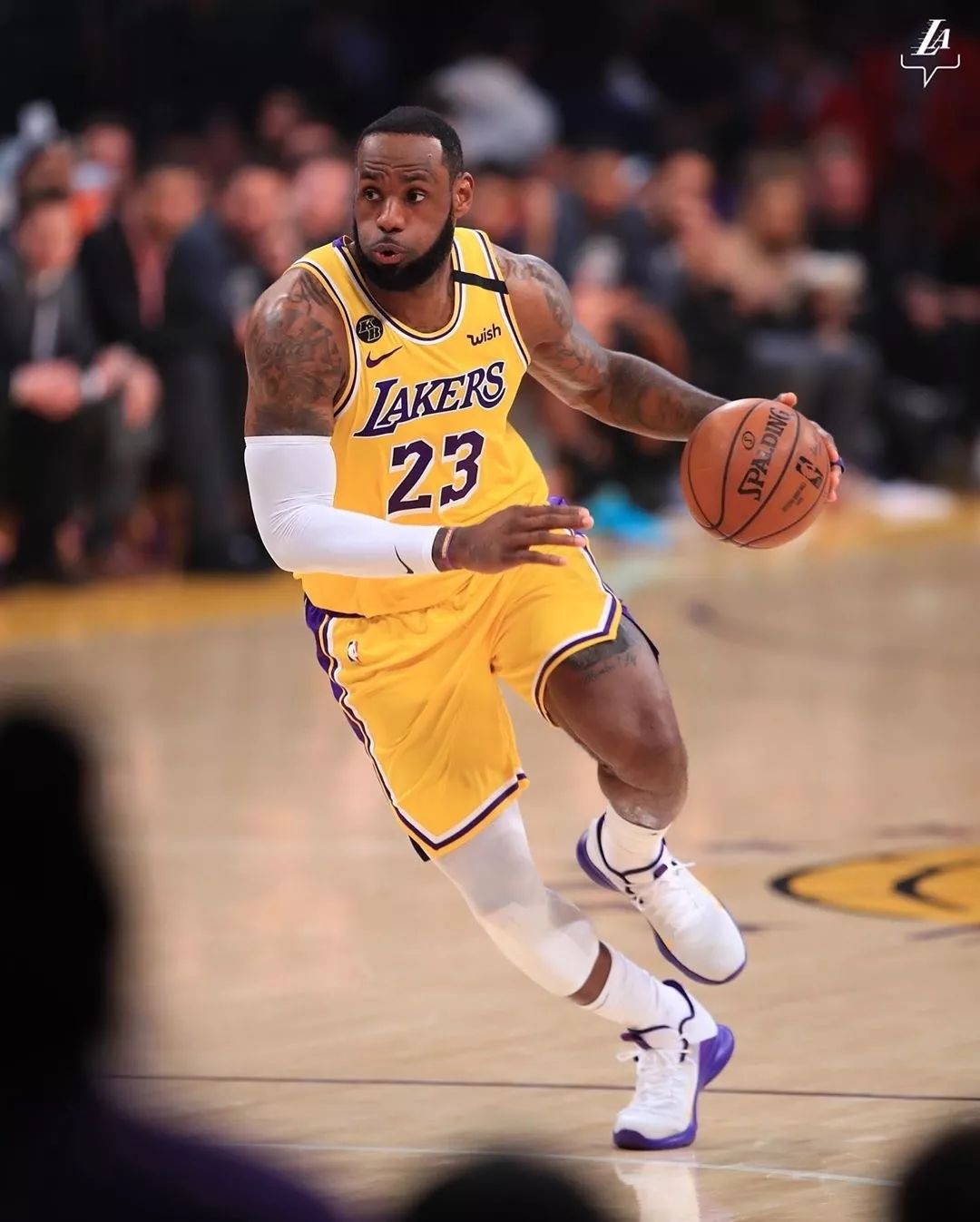 的下路双人 的下路双人