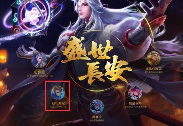 稳定性 稳定性